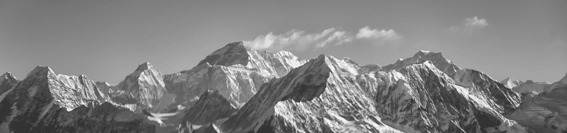 essentrasoftware.com banner 3
